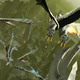Illustration for article titled emDrakengard 3/em: The TAY Review